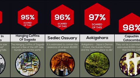 Comparison: Creepiest Things Seen On Earth