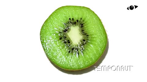 Kiwi Fruit Time-lapse