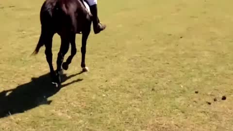 Horse riding in La Sofia Polo, Argentina