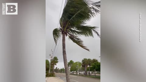 Gusty Winds and Storm Surge Precede Hurricane Idalia's Landfall on Florida's Gulf Coast
