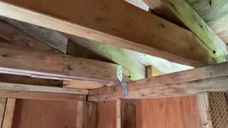 Cabin Roof Hurricane Straps