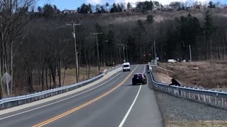 Mama Bear Helps Baby Cross The Road