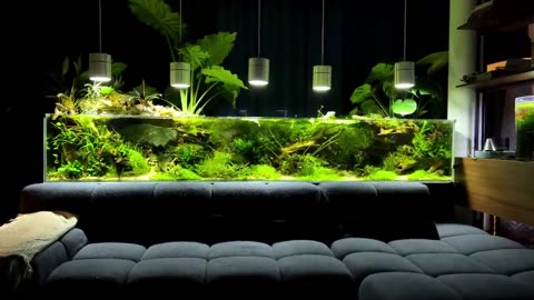 THIS 750 LITER PLANTED AQUARIUM WILL BLOW YOUR MIND!