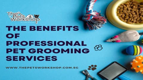 Choosing professional pet grooming services isn’t just a luxury — The Pets Workshop