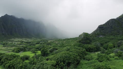 Thick Fogs On A Mountain Valley