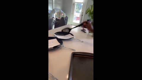 Dad pulls prank when he asks kids what they want for dinner