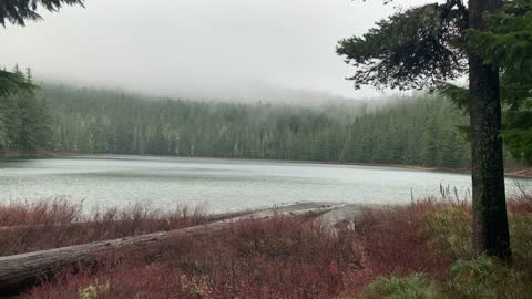 Beautiful Ethereal Forest Lake – Mount Hood National Forest – Oregon – 4K