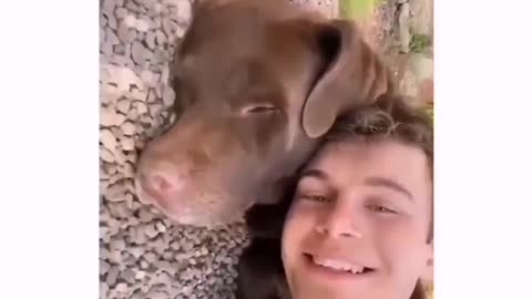 Brown Dog wants to Cuddle and Sleep with his Owner