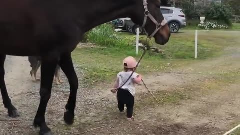 Little Girl Leads Horse || ViralHog