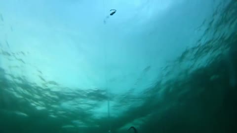 GoPro Underwater Mackerel Fishing.