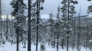 Mount Bachelor & Expansive Forest – Central Oregon – Vista Butte Sno-Park – 4K