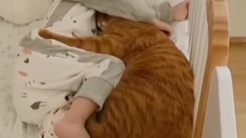 Funny cats compilation 🤣 Funniest Cats With Baby