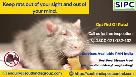 Rodent Control Delhi