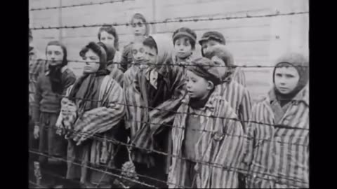 David Cole Jewish Revisionist "Cole in Auschwitz" edited version of his work (1992)...
