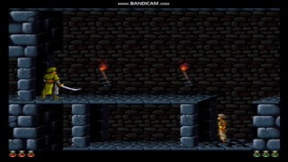 Prince of Persia - Arcade Adventure Classic, Game, Gaming, SNES, Super Nintendo