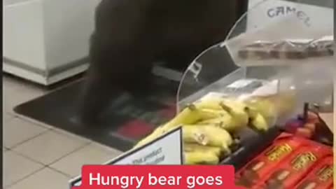 Cashier battles shoplifting bear