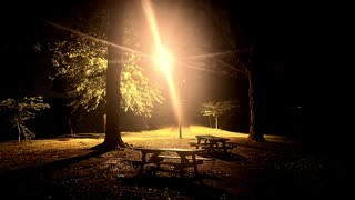 Relaxing Sounds Of Nature At Night "SLEEP IMMEDIATELY"