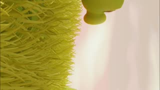 Peashooter pvz animation