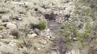 Flash Flood in Moab Takes Over Empty River Bed