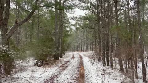 Outer Banks Beach Report - 12121