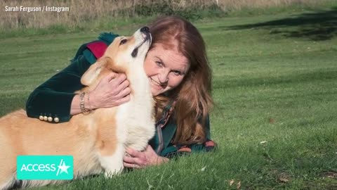 🙏Sarah Ferguson Shares New Pics Of 🙏Queen Elizabeth's Corgis🙏