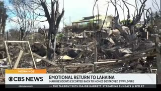 Think About It - Lahaina FIRE Tragedy Just Will NOT Go Away