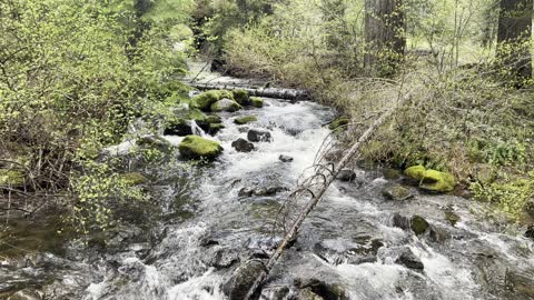 Ikenick Creek – Clear Lake Loop – Willamette National Forest – Central Oregon – 4K