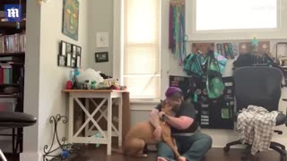 Beautiful moment: the owner's panic attack is stopped by a service dog.