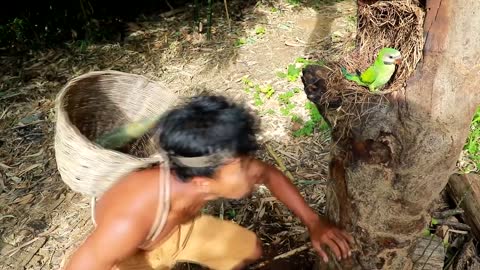 Survival In The Rainforest - BAMBOO SHOOTS - CUTE PARROT - BEES