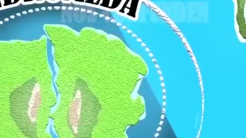 FLAT EARTH MAP - REVEALED They’re going to remove this for sure… so