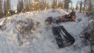 I Crash into Trees on The Trail || Off-Grid, Alaska Cabin,