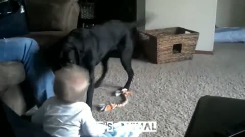 Funny Baby Videos Part 1