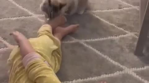 CUTE CAT PLAYING WITH CUTE BABY