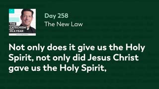Day 258: The New Law — The Catechism in a Year (with Fr. Mike Schmitz)