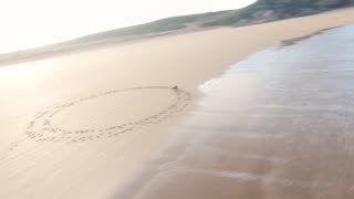 Dog Seen Running in Circles on Beach