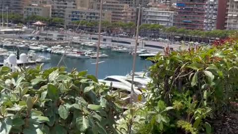 POV: You just arrived in.Monte Carlo and discover this dreamy view of Monaco