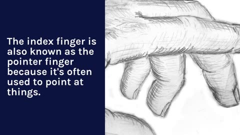 The names of each finger and how they came about