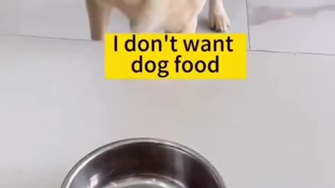 I don't like dog food