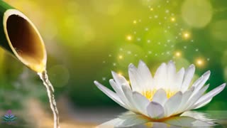 🌿🌿 Beautiful Relaxing Music for Stress Relief Healing Music For The Heart.