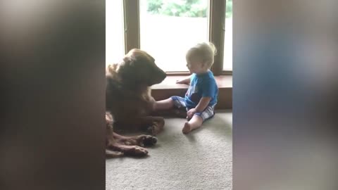 Baby Has Fun with Dog