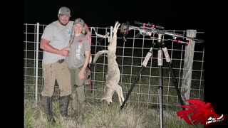 Predator Hunting | Coyote Down
