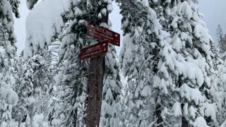 Trail Junction – Central Oregon – Vista Butte Sno-Park – 4K