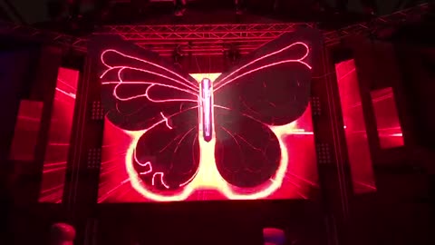 BUTTERFLY LASER MAPPING