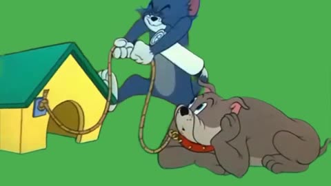 Tom and Jerry cartoon|| Tom and Jerry latest episode