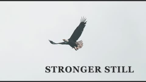 Pray USA 11/23/23 Stronger Still