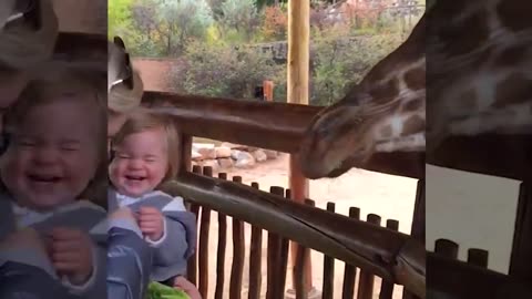 Funny video Animals Trolling Babies in the zoo 1