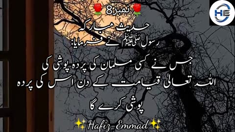 beautiful hadees in urdu |10 hadith of prophet muhammad ﷺ|behtreen hadees