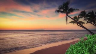 Relax Library: Video 30.At the beach. Relaxing videos and sounds