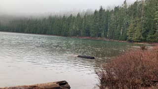 Oregon – Mount Hood National Forest – Enjoying the Peacefulness of Lower Twin Lake – 4K