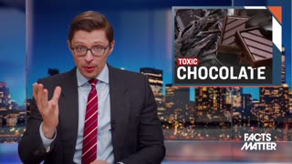 Beware of Toxic Chocolate: Heavy Metals Found in Major Brand Names